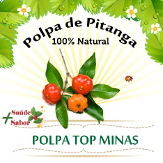 Polpa Top Minas novos sabores.